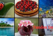 Yandex Images – Essential Tips for Effective Image Searching