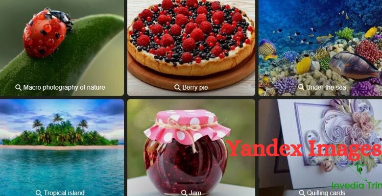 Yandex Images – Essential Tips for Effective Image Searching