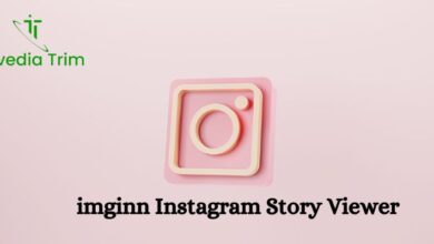 imginn Instagram Story Viewer