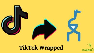 TikTok Wrapped