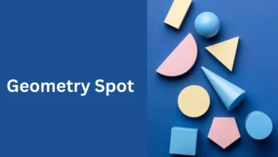Geometry Spot Game